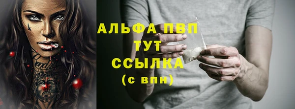 твердый Богданович