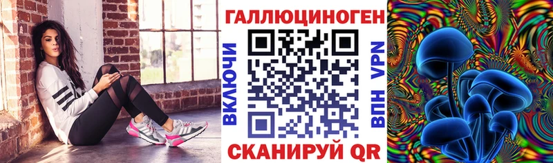 кракен как войти  Гороховец  Галлюциногенные грибы Psilocybe  наркота 